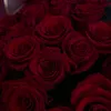 rahi_ing06