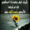 user1226678327274