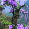 van.tin.luong5