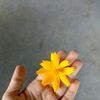 lia.rahayu969