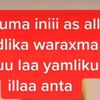 indhahaygi21