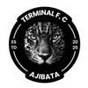 terminalajibata.fc