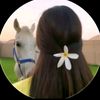 user2616307379988