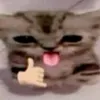 analu._p