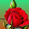 user4865816879875