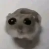 thnhngyntt
