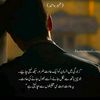 tariqmahmood36746