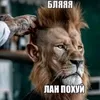 zxcebanp