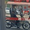 nargulun_sevdasi