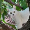 patou9168