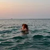 lida.alfk_