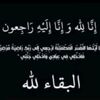 halimaokbaoui