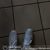 swisscool2