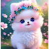kim05567