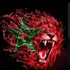 tahri.mohamed6