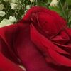 mnoo324