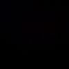 shnawg_3