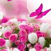 sitiyumnah3