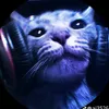 dyrfan8
