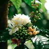 tg.sebinhyen