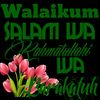 afshaqassim