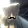 _qriei