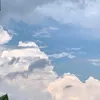 accmootaoj
