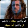 yacin.yacin366