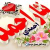 user3443556117633