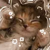 kinamamasupsup