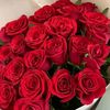 asma.haybe7