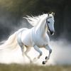 lina.france2024