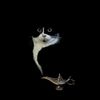 walid.abozid3