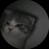 ._rainjay_18