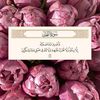 leperle_noir