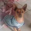 isa.oliveira7245