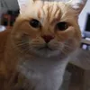 rudy.shelby