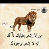 user5031613788002