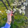 zeinbali223