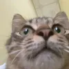 5510_1212