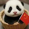 cute pet