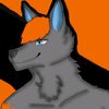 maluka_wolf_96