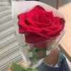 yesi3236
