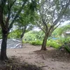 ngha.l8501