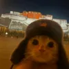 widor_st4r