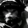 ccandype4ch_2210
