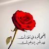 user2202565935185