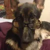 .zzzmaria0