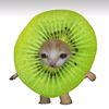 soykiwi_xd