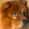 rosel_12345